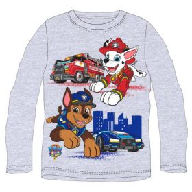 Paw Patrol children's long t-shirt, top for 8 years