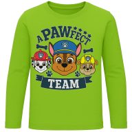 Paw Patrol Pawfect kids long shirt, top 6 years / 116 cm