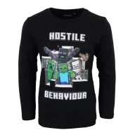 Minecraft children's long sleeve shirt, top 6 years