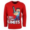 Minecraft kids long sleeve T-shirt, top 10 years