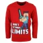 Minecraft children's long sleeve t-shirt, top 12 years