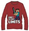 Minecraft kids long sleeve T-shirt, top 8 years