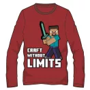 Minecraft children's long sleeve shirt, top 8 years