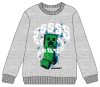 Minecraft kids sweatshirt 10 years