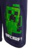Minecraft kids shorts 10 years