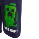 Minecraft kids shorts 10 years