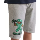 Minecraft children's shorts 9 years