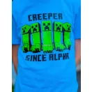 Minecraft children's short pajamas 8 years