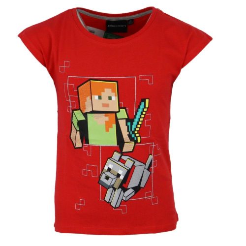 Minecraft kids short T-shirt, top 6 years