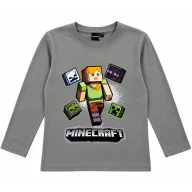   Minecraft Alex Adventure Grey children's long-sleeve t-shirt, top 6 years / 116 cm