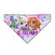 Paw Patrol Good Pups headband, headscarf