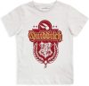 Harry Potter kids short sleeve t-shirt, top 8 years