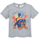 Paw Patrol kids short T-shirt, top 5 years