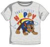 Paw Patrol kids short T-shirt, top 5 years