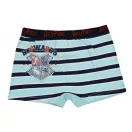 Harry Potter kids boxer shorts 2 pieces/pack 8/10 years