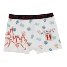 Harry Potter kids boxer shorts 2 pieces/pack 8/10 years