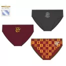 Harry Potter kids' underwear, bottom 3 pieces/package 2/3 years