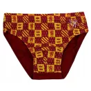 Harry Potter children's underwear, bottoms 3 pieces/pack 4/5 years