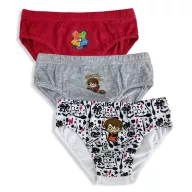   Harry Potter children's underwear, bottom 3 pieces/package 2/3 years