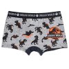 Jurassic World kids boxer shorts 2 pieces/pack 2/3 years