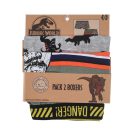 Jurassic World kids' boxer shorts 2 pieces/pack 2/3 years