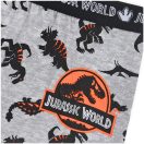 Jurassic World kids' boxer shorts 2 pieces/pack 6/8 years