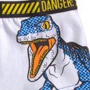 Jurassic World kids' boxer shorts 2 pieces/pack 2/3 years