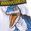 Jurassic World kids boxer shorts 2 pieces/pack 4/5 years