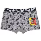 Disney Mickey  kids boxer shorts 2 pieces/package 4/5 years