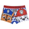 Paw Patrol kids boxer shorts 2 pieces/pack 4/5 years