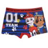 Paw Patrol kids boxer shorts 2 pieces/pack 4/5 years