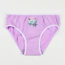 Disney Frozen Kingdom children's underwear, panties 3 pieces/package 6/8 years