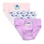 Disney Lilo and Stitch Bathing children's underwear, briefs 3 pieces/package 3 - 4 years / 98 - 104 cm