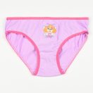 Paw Patrol Butterfly children's underwear, panties 3 pieces/pack 3 - 4 years / 98 - 104 cm