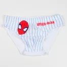 Spiderman City Swinger children's underwear, briefs 3 pieces/package 5 - 6 years / 110 - 116 cm