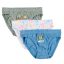 Paw Patrol Forest  children's underwear, panties 3 pieces/set 4 - 5 years / 104 - 110 cm