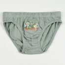 Paw Patrol Forest  children's underwear, panties 3 pieces/set 4 - 5 years / 104 - 110 cm