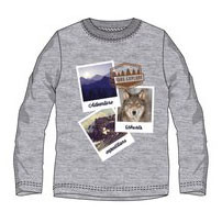 Ushuaia <mg-auto=3001996>Pictures Grey men home T-shirt XL