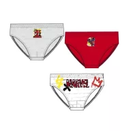   Spiderman Hero children's underwear, bottoms 3 pieces/pack 5/6 years