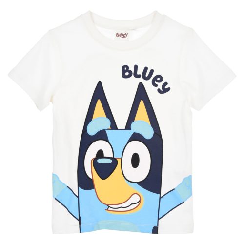 Bluey children's short t-shirt, top 6 years