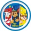 Paw Patrol Pup Power non-slip micro flat plate