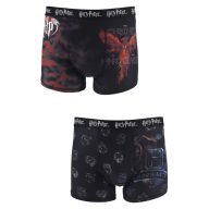 Harry Potter men's boxers 2 pieces/package L