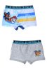 Paw Patrol kids' boxer shorts 2 pieces/package 2/3 years