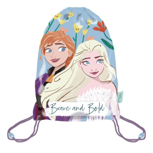Disney Frozen Brave sports bag, gym bag 44 cm