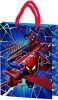 Disney, Paw Patrol, Spiderman plastic gift bag 25x18,5x8 cm