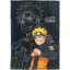 Naruto Training flannel blanket 110x150cm