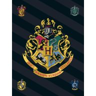 Harry Potter fleece blanket 100*140cm