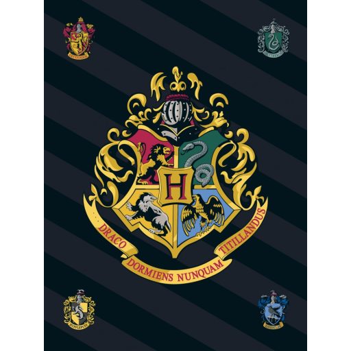 Harry Potter fleece blanket 100*140cm