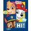 Paw Patrol polar blanket 100x140cm