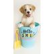 Dog Summer bath towel, beach towel 70x140cm